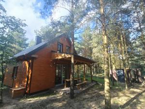 Domek nad jeziorem Wilczyńskim في Świętne: كابينة خشب في الغابة بها أشجار