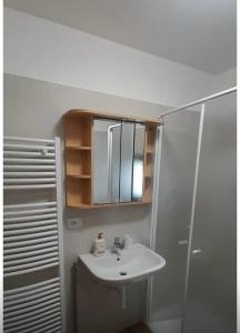 a bathroom with a sink and a shower and a mirror at Appartamento GIRASOLE in Trodena