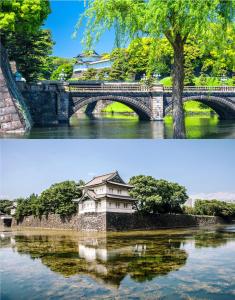 Природа в окрестностях гостевого дома