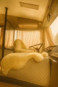 two cats laying on the seat of an rv at Refúgio Da Lua - Buss motorhome in Ametista do Sul +2 photos