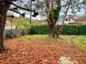 un cumulo di foglie sul terreno accanto ad un albero di La Longère a Vierzon