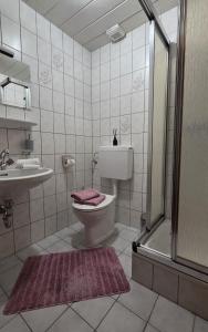 a bathroom with a toilet and a sink and a shower at Appartement Mrak in Längenfeld