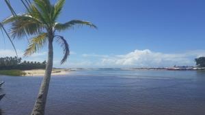 eine Palme am Strand neben dem Wasser in der Unterkunft Apartamentos Nova Caraiva in Caraíva