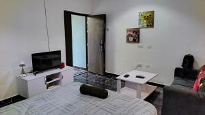 TV a/nebo společenská místnost v ubytování Acrra' Rent