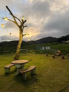 ein Picknicktisch und ein Baum auf dem Feld in der Unterkunft Quartos Dossel - Sítio Belo Monte in Pacoti + 33 Fotos
