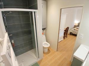 a bathroom with a shower and a toilet in it at Appartement neuf & climatisé - 3 mins centre-ville in Prades
