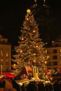 Uma árvore de Natal é iluminada à noite em Hotel Indigo Dresden - Wettiner Platz by IHG em Dresden