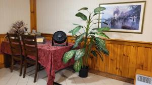 Fotografie z fotogalerie ubytování A Stunning Chalet Style Home v destinaci Toronto