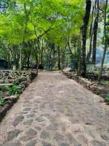 um caminho de pedra num parque com árvores em Sandungira Eco Resort em Belihul Oya