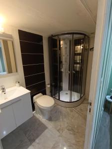 un bagno con doccia, WC e lavandino di Angleterre 48 a Béziers Altre 66 foto