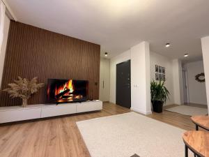 TV a/nebo společenská místnost v ubytování City Center Penthouse Mitrovice + 6 fotografií