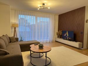 Posezení v ubytování City Center Penthouse Mitrovice