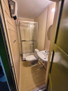 Et badeværelse på Kåfjord aurora northern light + 18 billeder