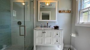 een badkamer met douche, wastafel en spiegel bij Beachcomber in New Buffalo