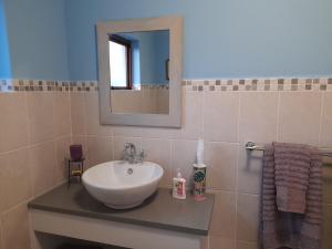 a bathroom with a sink and a mirror at Oz on M8re in Stanford