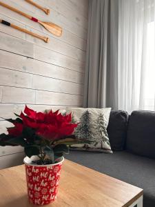 a vase with red flowers on a table in a living room at Apartament w Słupsku centrum bezpłatny parking in Słupsk