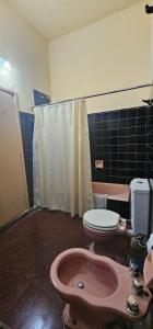un bagno con un water rosa e un lavandino di Gualeguay Centro a Gualeguay