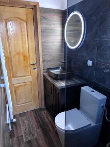 a bathroom with a toilet and a sink and a mirror at Transilvania Chalet in Zărneşti +13 photos