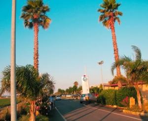 a parking lot with palm trees and a clock tower at Casa Orchidea in Botricello