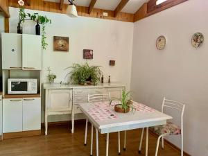 a kitchen with a table with plants on it at Cabaña con Patio y Árboles in Ovalle