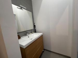 un baño con lavabo y espejo en Impasse gaz 001, en Toul