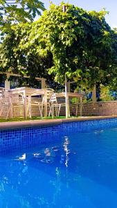 Bazén v ubytování Pensão Simão & Júlia nebo v jeho okolí + 41 fotografií