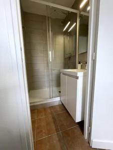 ein Badezimmer mit Dusche, Waschbecken und Spiegel in der Unterkunft Charmant logement avec parking privé - proche village et plage - Veules-les-Roses in Veules-les-Roses