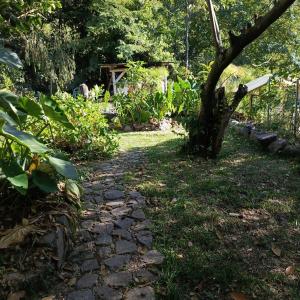 a stone path in a garden with a tree at Casa Zapote in Sololá +5 photos