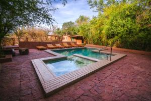 Ckoi Atacama Lodge في سان بيدرو دي أتاكاما: مسبح في ساحة فيها كراسي واشجار