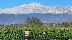 ルハン・デ・クージョにあるRincon del Malbecのギャラリーの写真