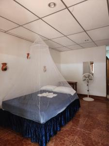 a bed with a net on top of it in a room at Hostal Bullshark in Cuatro Esquinas