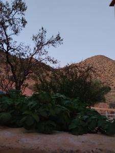 Nespecifikovaný výhled na hory nebo výhled na hory při pohledu z venkovského domu + 3 fotografie