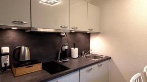 Luna & Stella Apartments, Sankt Englmar في سانكت انجلمار: مطبخ مع حوض وطاولة عمل