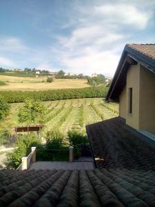 een uitzicht vanaf het dak van een huis met een wijngaard bij Vite diPinte 1 bilocale in langa in Novello