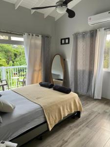 a bedroom with a bed with a ceiling fan and a mirror at La Retraite Apt in Rodney Bay Village