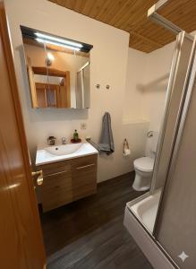 a bathroom with a sink and a toilet and a mirror at Almhaus Bachmann in Sonnenalpe Nassfeld
