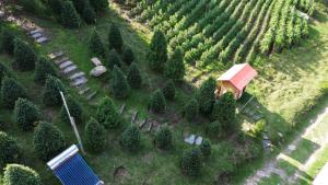 an aerial view of a farm with a house and trees at La cabaña in Tlazala de Fabela