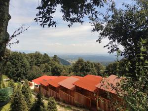 a group of buildings with red roofs on a hill at La cabaña in Tlazala de Fabela
