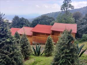 a house with a red roof in a forest of christmas trees at La cabaña in Tlazala de Fabela