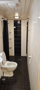 a bathroom with a toilet and a shower at rakentajanpolku 1 in Rovaniemi