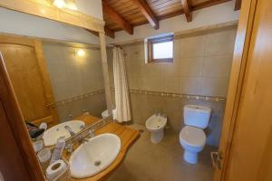 a bathroom with a toilet and a sink at Departamento en pleno centro, con Pileta in San Martín de los Andes