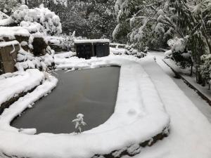 una donna in piedi davanti a una piscina coperta di neve di La Huerta de Chocolate Mínimo 2 años larga duración ad Albalate de Zorita Altre 4 foto