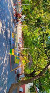 萨三吉尔the levels home的树上街景