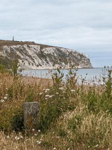 Φωτογραφία από το άλμπουμ του Zen Den σε Isle of Wight