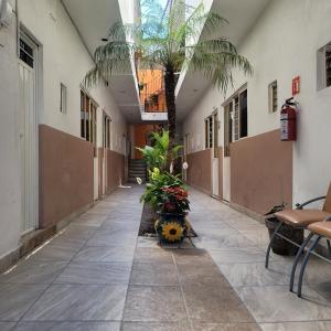 a hallway with a palm tree in a building at Hotel Anturio in Huajuapan de León +12 photos