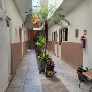 a hallway of a building with a palm tree and plants at Hotel Anturio in Huajuapan de León