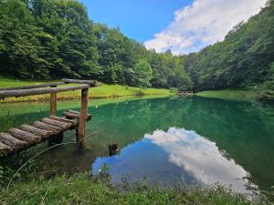 a river with a wooden bench in the water at Kod bake in Oštarije