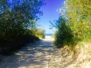 un sentiero tra gli alberi su una spiaggia di Provance Apartment a Liepāja