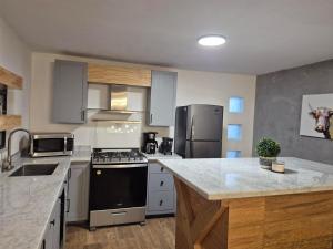 马塔莫罗斯Modern Industrial Artsy Apt Remodel Secure的厨房配有不锈钢用具和木柜