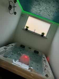 bañera con 2 macetas en una habitación en SPA APARTMAN Prijedor, en Prijedor